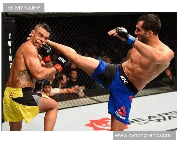 丹叔与比斯平的巅峰对决谁将成为终极格斗之王的传奇传承者